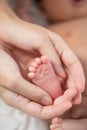 Mother`s hand holding infant baby boy`s feet with care. Royalty Free Stock Photo