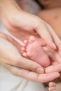 Mother`s hand holding infant baby boy`s feet with care. Royalty Free Stock Photo