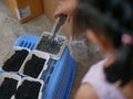 Mother`s hand pouring sunflower seeds into water, showing little baby girl steps on how to grow plant Royalty Free Stock Photo