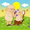 Mother sheep adorns head daughter Royalty Free Stock Photo