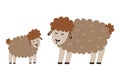 Mother sheep with her baby lamb. Cute mom and her child animal characters