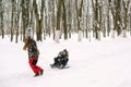 Mother sledding her kids. Family vacation on Christmas. Family having fun in winter