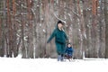 Mother sledding her son in winter forest .Child play in snowy forest. Outdoor winter fun for family Christmas vacation. Royalty Free Stock Photo