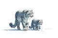 Mother Snow Leopard with Cub in Alpine Terrain snow isolated Royalty Free Stock Photo