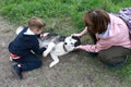 Mother and son caress husky dog in summer