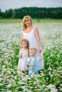 Mother, son and daughter in nature, a meadow with daisies. Children and mother in a blooming field of chamomiles. The family has Royalty Free Stock Photo