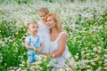 Mother, son and daughter in nature, a meadow with daisies. Children and mother in a blooming field of chamomiles. The family has Royalty Free Stock Photo