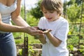Mother With Son Exploring Soil In Garden Royalty Free Stock Photo
