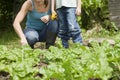 Mother And Son Gardening Royalty Free Stock Photo