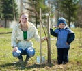 Mother and son planting tree