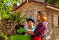 Mother and son planting up palm tree in container Royalty Free Stock Photo