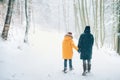 Mother and son walking in snowy forest. Mother and son relatives concept image