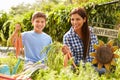 Mother And Son Working On Allotment Together Royalty Free Stock Photo