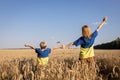 mother and son in yellow-blue t-shirts stand with backs among spikelets in wheat field in Ukraine