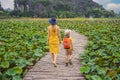 Mother and son in a yellow on the path among the lotus lake. Mua Cave, Ninh Binh, Vietnam. Vietnam reopens after