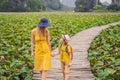 Mother and son in a yellow on the path among the lotus lake. Mua Cave, Ninh Binh, Vietnam. Vietnam reopens after Royalty Free Stock Photo