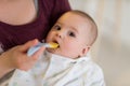 Mother with spoon feeding little baby Royalty Free Stock Photo