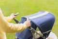 Mother strolling baby in carriage in park