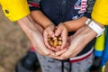 Little kid is holding acorns at his small hands with help of mother