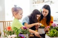 Mother teaches kids to take care of flowers and plants