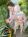 Mother teaching botany her kid Royalty Free Stock Photo