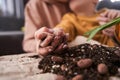 Mother teaching her little male child to replacing flowers to the pots at home Royalty Free Stock Photo