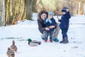 Mother and two little siblings boys feeding ducks in winter. Royalty Free Stock Photo