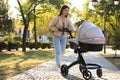 Young mother walking with her baby in stroller at park on sunny day Royalty Free Stock Photo