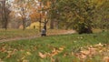 Mother walking with pushchair in forest