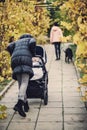 Mother walks with a stroller in the autumn park Royalty Free Stock Photo