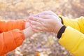 mother warms, rub cold palms girl on walk, overall family health strategies, autumn Family Bonding, parenta Royalty Free Stock Photo