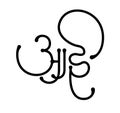 Mother written in Marathi Script that is Aai Royalty Free Stock Photo