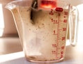 Mother yeast in water carafe Royalty Free Stock Photo