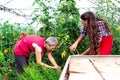 Mother with daughter in garden with tomatoes seedlings