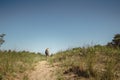 Mother and young son walking along a path at Indiana Dunes State Park Royalty Free Stock Photo