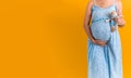 Motherhood, femininity, vitamins, , hot summer - croped portrait pregnant unrecognizable woman in floral blue dress