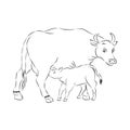 Motherhood. Mother And Child. Cow And Calf Outline Vector Silhouette Illustration. Royalty Free Stock Photo