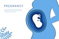 Motherhood, Pregnancy Stages And Trimesters Concept. Body Silhouette Of A Pregnant Woman With A Baby Inside A Belly