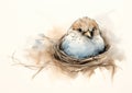 Motherly Love: A Sketch of a Fluffy Bird Sitting on Her Nest wit