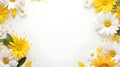 Mothers Day background with beautiful daisy flowers. Chamomile pattern on white