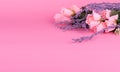 Mothers day background with beautiful pink roses and Lavanda