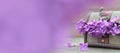 Mothers Day background. Lilac flowers in wooden vintage chest Royalty Free Stock Photo