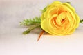 Mothers Day background with yellow artificial rose Royalty Free Stock Photo