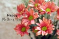 Mothers Day card and greeting concept with a bouquet of dahlia peach color flowers background. Happy Mothers Day. Royalty Free Stock Photo