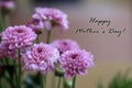 Mothers day card and greeting concept with text message - Happy Mothers Day. With bouquet of flowers on a soft blue background.