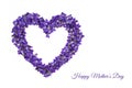 Mothers day card. Heart shape flowers. Violets love symbol isolated on white background. Template for greeting card, web Royalty Free Stock Photo