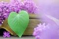 Mothers Day card with heart shaped leaf and lilac flowers Royalty Free Stock Photo