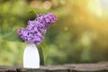 Mothers day card idea, purple lilac flower in spring Royalty Free Stock Photo
