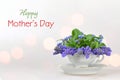 Mothers Day card. Muscari flowers in the vintage cup Royalty Free Stock Photo