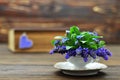 Mothers Day card. Muscari flowers in vintage cup Royalty Free Stock Photo